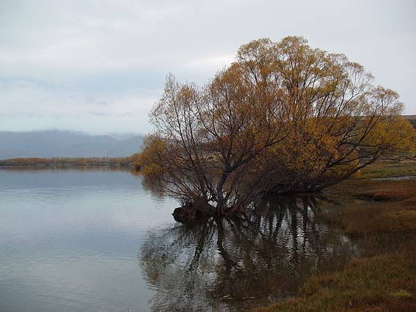 lake alexandrian