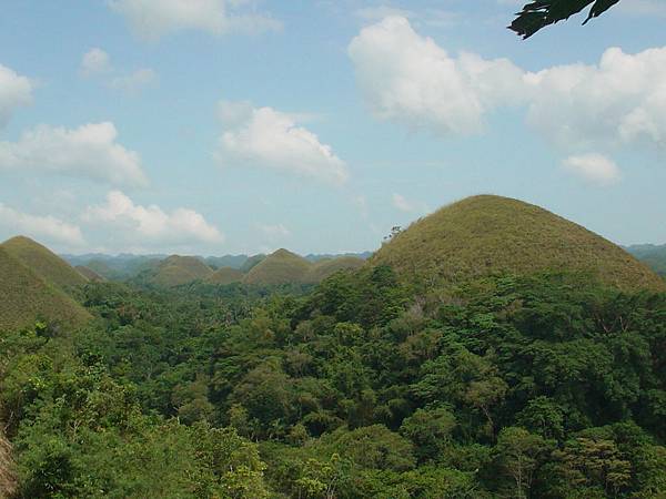 Chocolate Hills Chocolate Hills