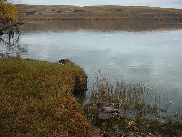 lake alexandrian