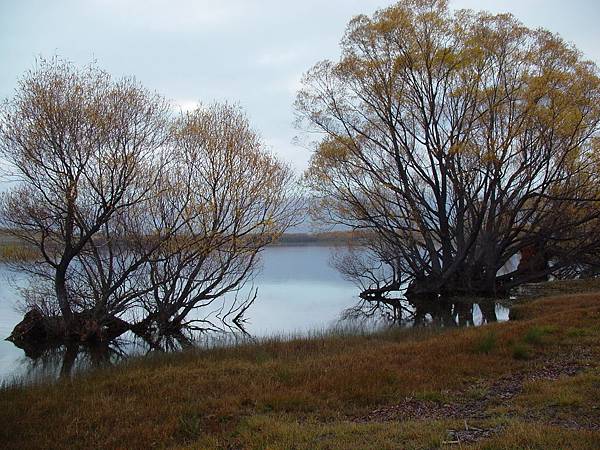 lake alexandrian