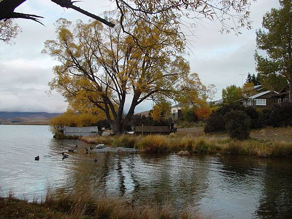 lake alexandrian