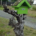 mailbox in Rarangi-3.JPG