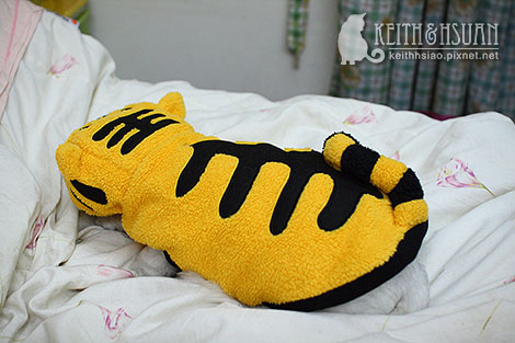 IMG_8411 IMG_8411