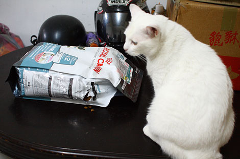 IMG_8735 IMG_8735