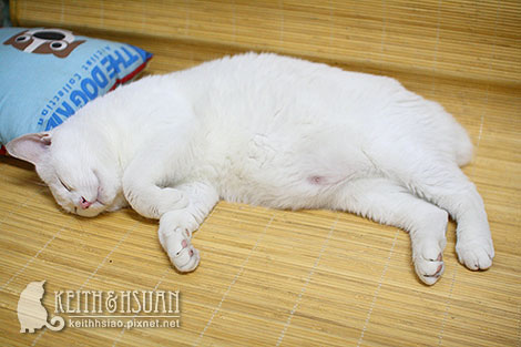 IMG_8865 IMG_8865