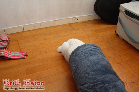 IMG_7875.jpg IMG_7875.jpg
