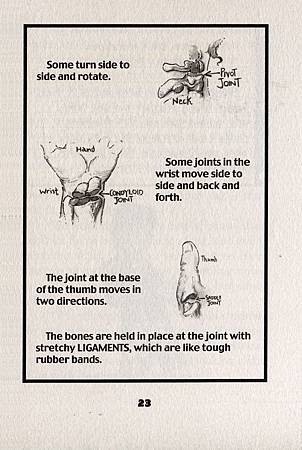 SEARCH FOR THE MISSING BONES, THE - PAGE 23.jpg