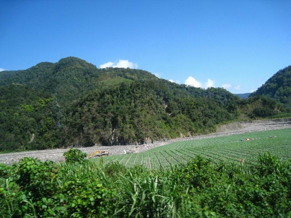 往武陵路上的田地