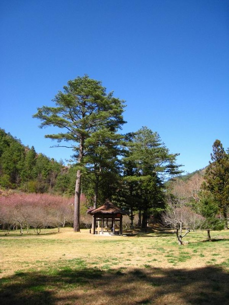 醒獅園