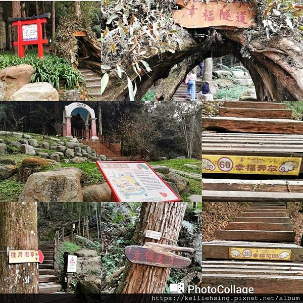 20230226_233917.jpg2312877216178096606