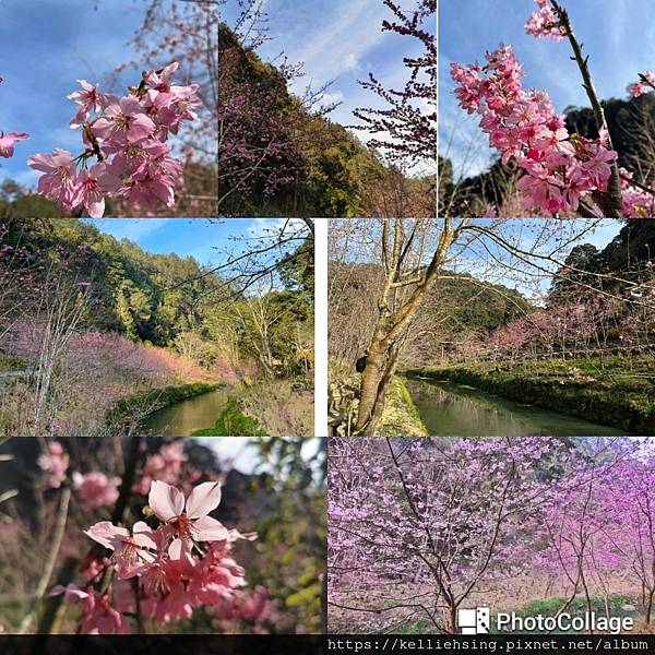 20230226_233312.jpg6024886439836125680