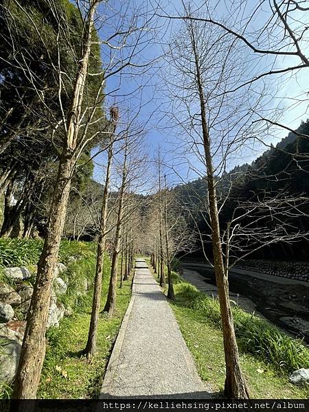 line_57202573395435.jpg303736601411802574 line_57202573395435.jpg303736601411802574