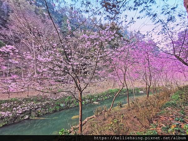 temp380.0341958354697.jpg8741742010272629403