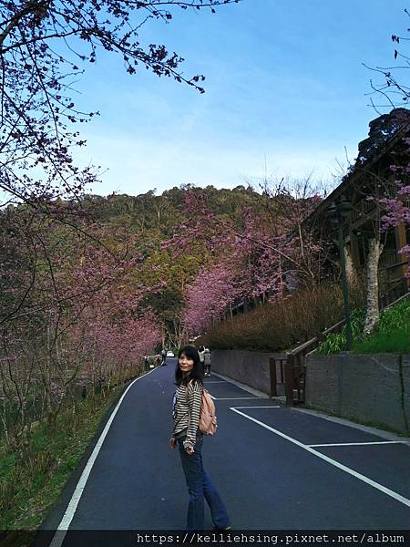 IMG_20230219_170232_1_1