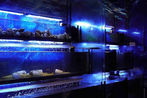 【純分享轉載】高雄無菜單料理推薦｜覓奇頂級日本料理，海膽刺身