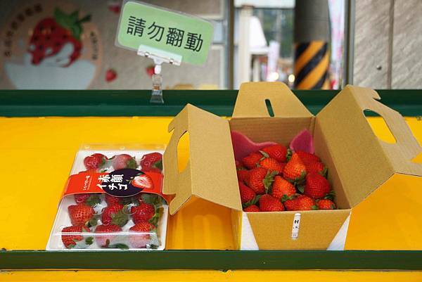 大湖草莓園推薦｜名品草莓園 11月至4月草莓季必訪！大湖唯一