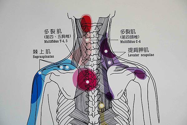 台北按摩推薦｜重華撥筋傳統整復推拿 舒緩緊繃、放鬆筋膜、筋骨