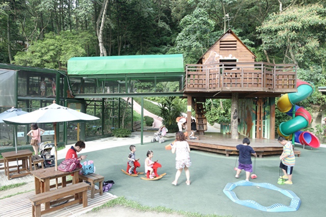 15Y0712-33.JPG