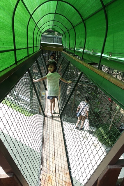 15Y0712-37.JPG 15Y0712-37.JPG