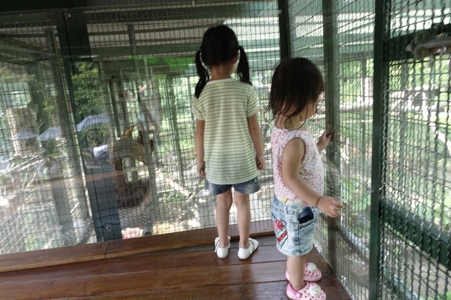 15Y0712-38.JPG 15Y0712-38.JPG