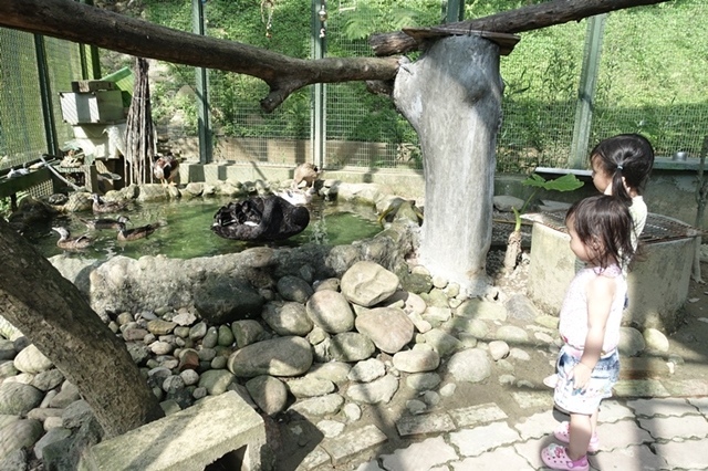 15Y0712-43.JPG 15Y0712-43.JPG