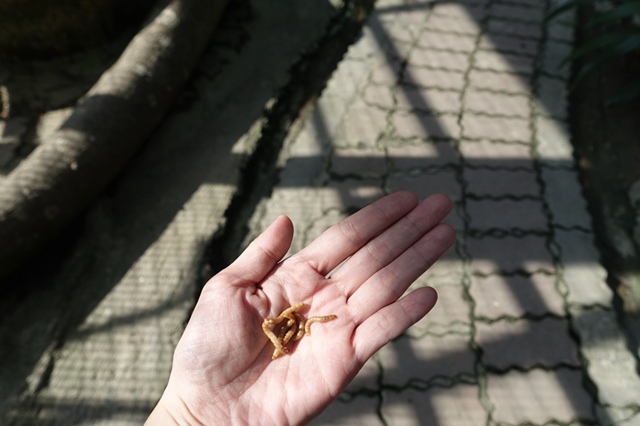 15Y0712-44.JPG