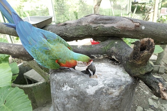 15Y0712-45.JPG 15Y0712-45.JPG