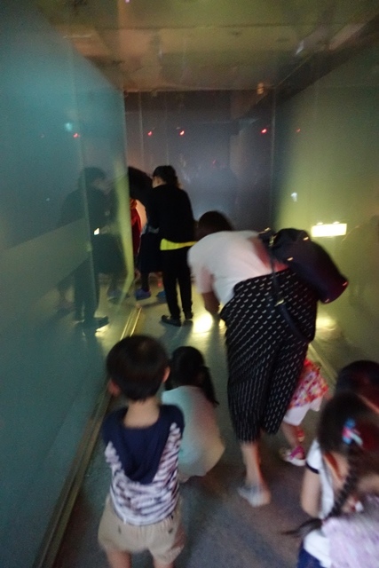 DSC08352.JPG DSC08352.JPG