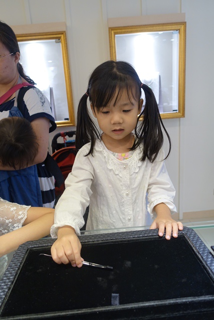 DSC09676.JPG DSC09676.JPG