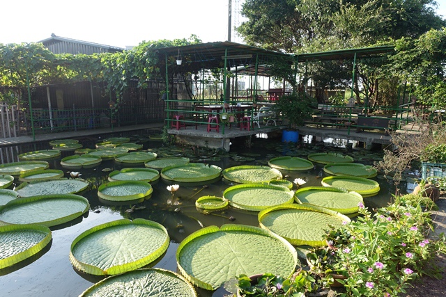 DSC01050.JPG