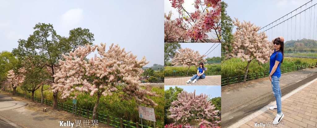 657658照.jpg 657658照.jpg