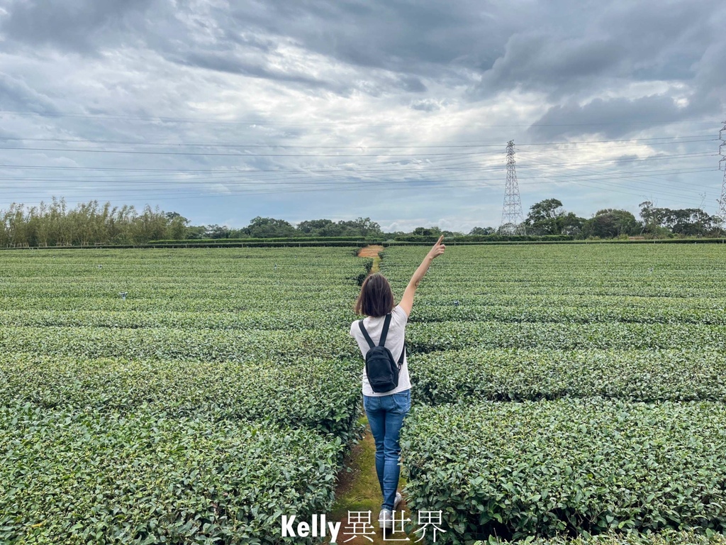 |湖口新景點 湖口茶香步道 後山茶園秘境 一層一層茶園好療癒 |湖口新景點 湖口茶香步道 後山茶園秘境 一層一層茶園好療癒