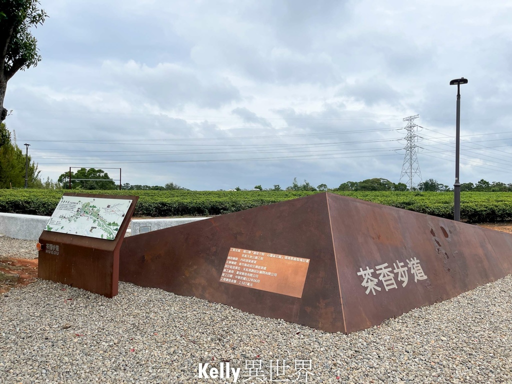 |湖口新景點 湖口茶香步道 後山茶園秘境 一層一層茶園好療癒