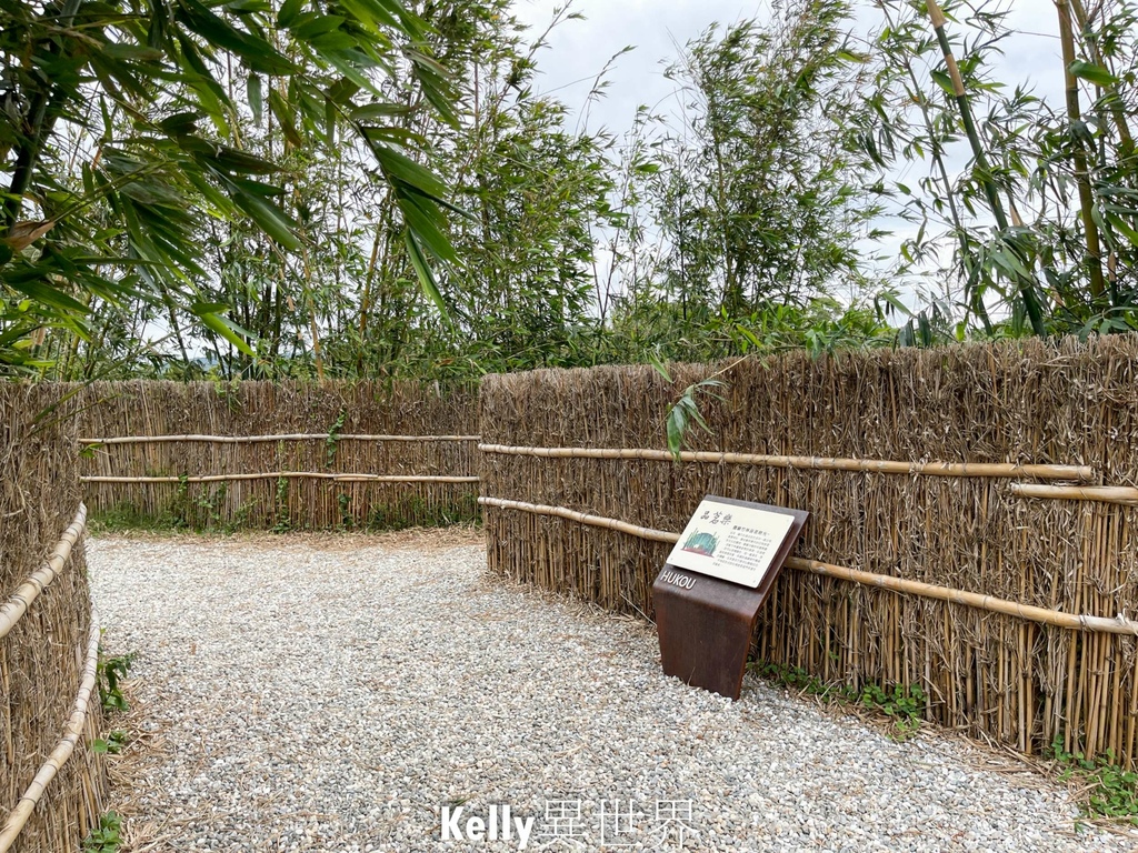 |湖口新景點 湖口茶香步道 後山茶園秘境 一層一層茶園好療癒