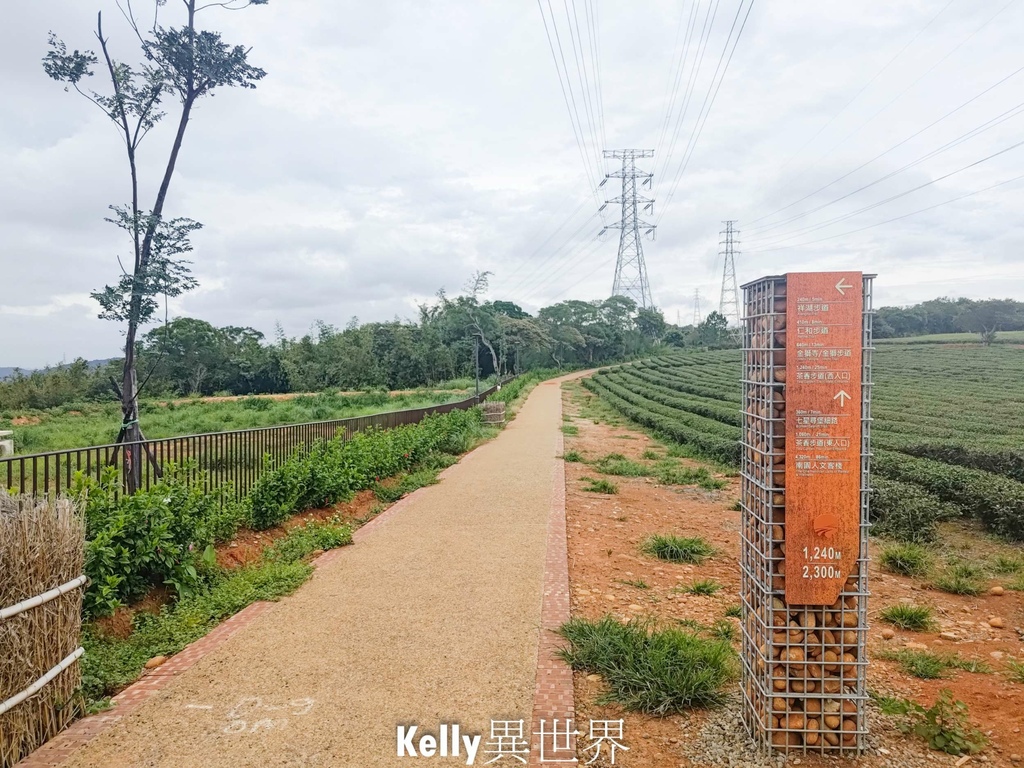 |湖口新景點 湖口茶香步道 後山茶園秘境 一層一層茶園好療癒