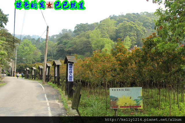 巴巴坑道2921.JPG