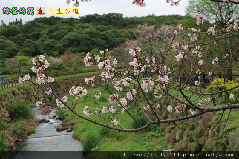 三生步道28.JPG