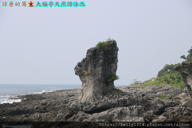 大福亭天然游泳池08.JPG