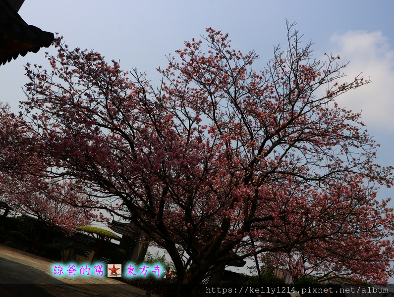 東方寺07.JPG