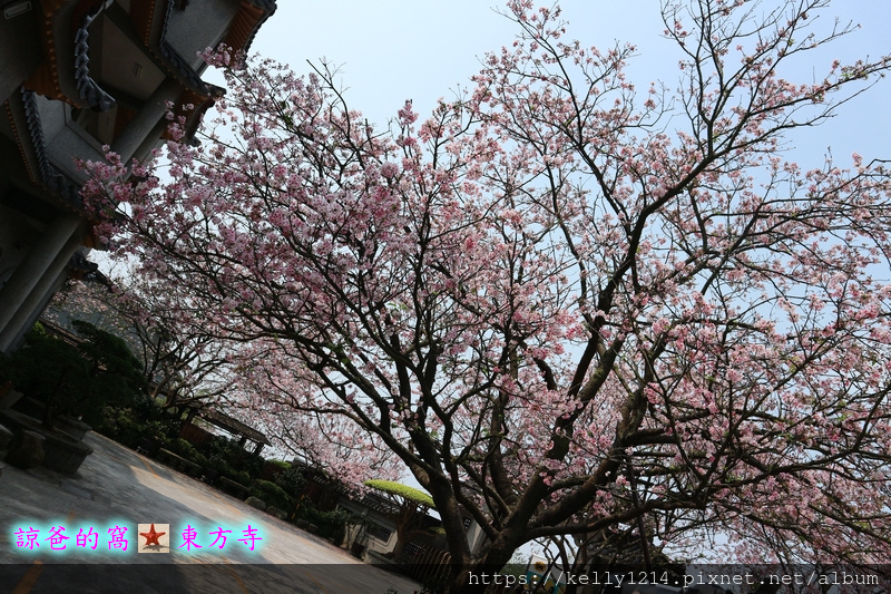 東方寺21.JPG