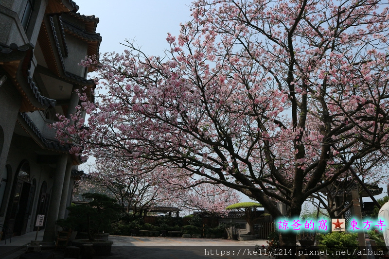 東方寺20.JPG