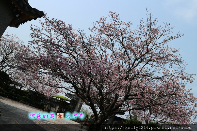 東方寺19.JPG