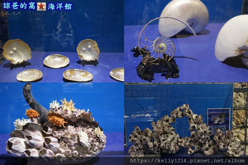 海洋館46.jpg