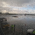 到了Melbourne機場雨依然下不停