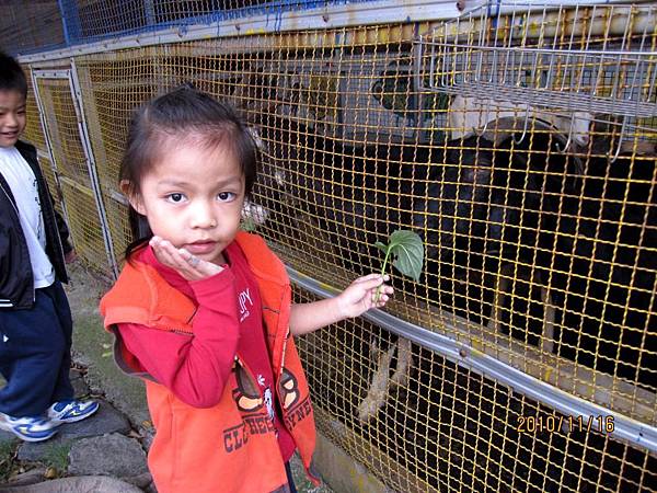 素顏最美02.JPG 素顏最美02.JPG