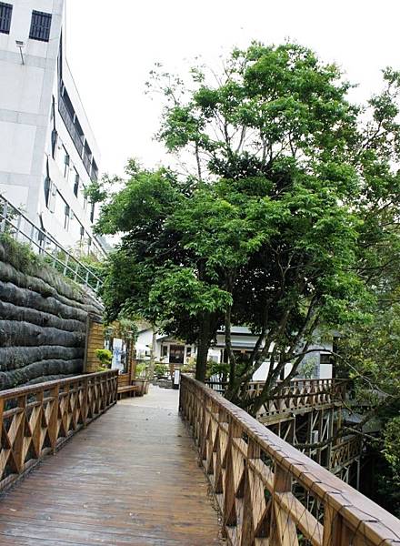 湯悅012.JPG 湯悅012.JPG