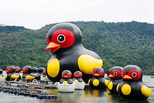 鯉魚潭14.JPG 鯉魚潭14.JPG