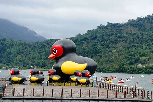 鯉魚潭13.JPG 鯉魚潭13.JPG