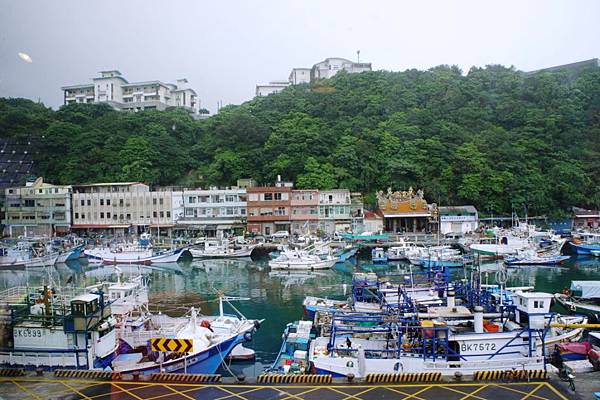 小熊05.JPG 小熊05.JPG