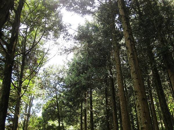 惠蓀05.jpg 惠蓀05.jpg